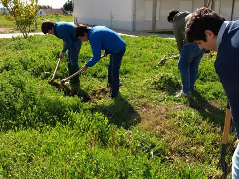 Alunos do 3.º ciclo a limpar ervas daninhas do espaço da horta.